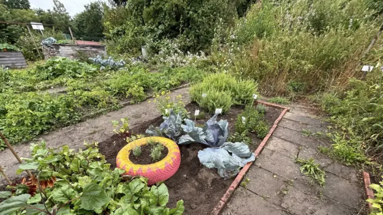 089 schulgarten 1536p agsprojekte ca 2025 08 23.dc26a26d8319fb5a
