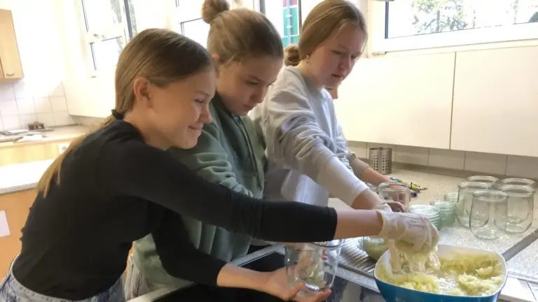 Sauerkraut herstellen