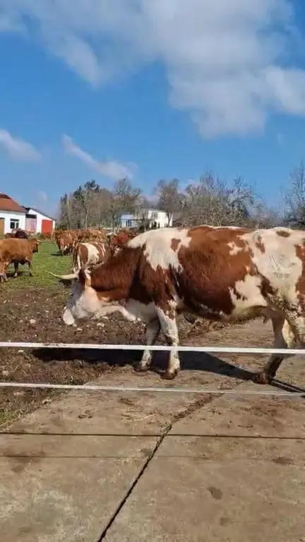 Nachhaltigkeitswoche