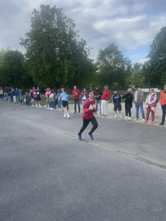Donaustaffellauf 2026