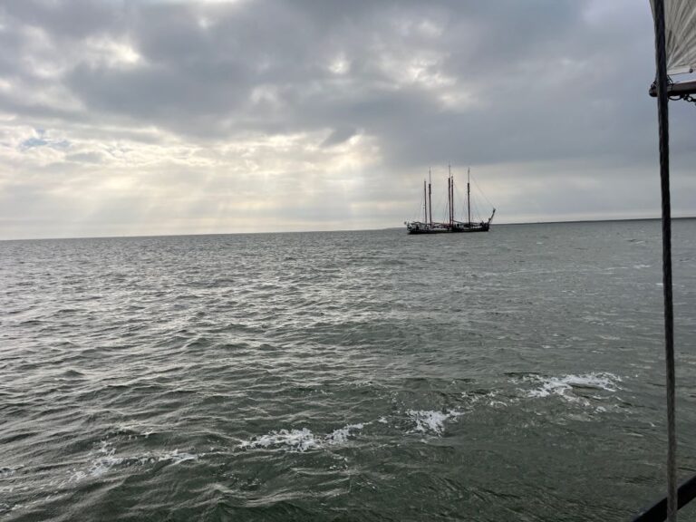 segeln8