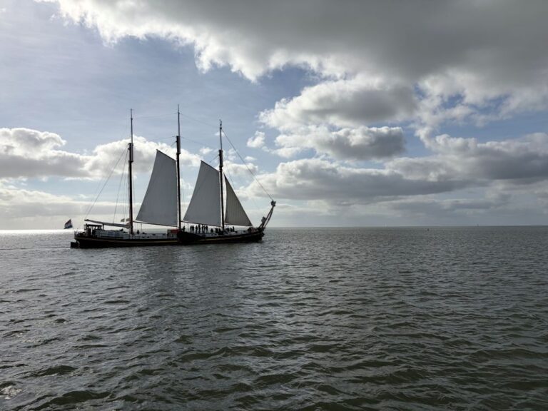 segelnD