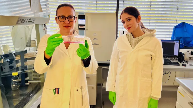 Biologie Hochschule